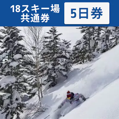 全日利用可】志賀高原マウンテンリゾート 18スキー場共通 リフト5日券 全日利用可】志賀高原マウンテンリゾート 18スキー場共通 リフト5日券