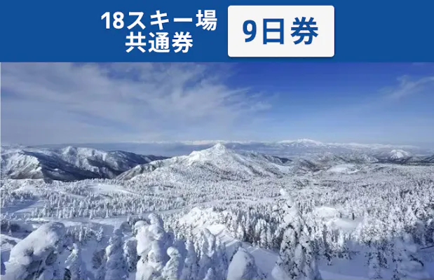 18スキー場使用可能リフト券2枚、オンライン発送 2025-26 志賀高原スキー場共通リフト券 1日券2枚【スキー場 共通
