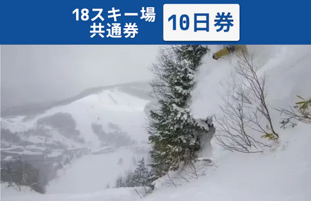 全日利用可】志賀高原マウンテンリゾート 18スキー場共通 リフト10日券