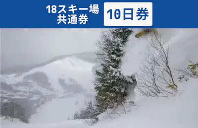 志賀高原 共通1日リフト券 2枚組 2025-26 志賀高原スキー場共通リフト券 1日券2枚[53710374] | 長野県