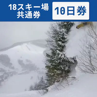 全日利用可】志賀高原マウンテンリゾート 18スキー場共通 リフト10日券 全日利用可】志賀高原マウンテンリゾート 18スキー場共通 リフト10日券