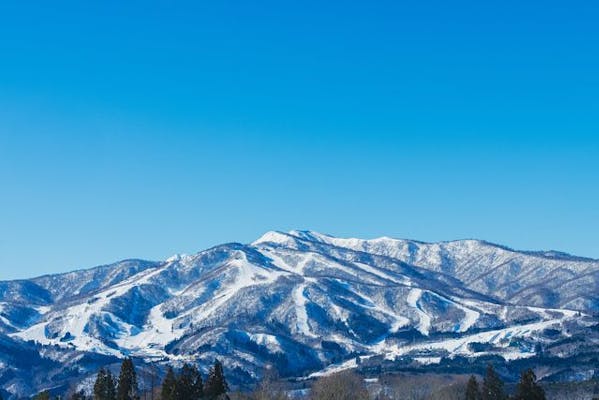 高鷲スノーパーク ダイナランド 3枚セット キッズ・ファミリー情報 ｜ 高鷲スノーパーク