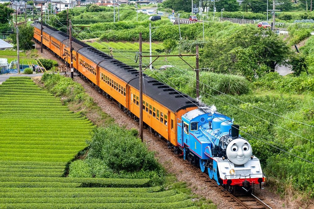 大井川鐵道 DAY OUT WITH THOMAS™ 2024 きかんしゃトーマス号 新金谷発片道券 - 大井川鐵道株式会社