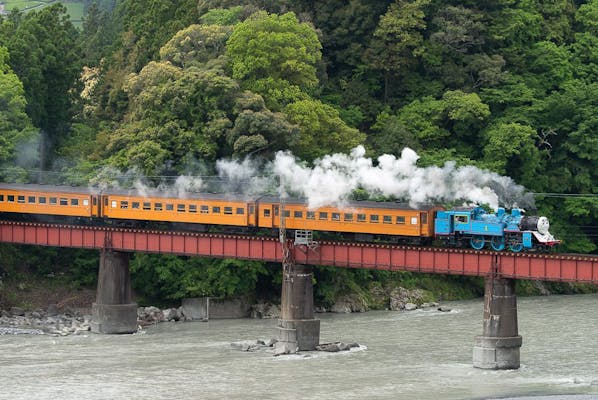 大井川鐵道 DAY OUT WITH THOMAS™ 2024 きかんしゃトーマス号 新金谷発片道券｜アソビュー！