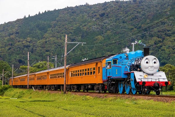 大井川鐵道 DAY OUT WITH THOMAS™ 2024 きかんしゃトーマス号 家山発片道券｜アソビュー！