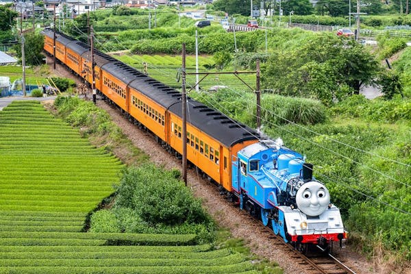 大井川鐵道 DAY OUT WITH THOMAS™ 2024 きかんしゃトーマス号 家山発片道券｜アソビュー！