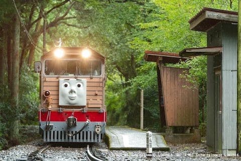 大井川鐵道 DAY OUT WITH THOMAS™ 2024 きかんしゃトーマス号 家山発片道券｜アソビュー！