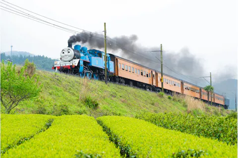 大井川鐵道 DAY OUT WITH THOMAS きかんしゃトーマス号 ファミリーボックスプラン