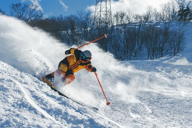 ○高鷲スノーパーク○ダイナランド○引き換え不要○預り金不要