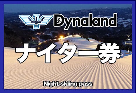 【ナイター・200円割引】ダイナランド　大人 ナイター券