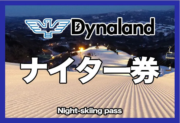 ナイター・200円割引】ダイナランド 大人 ナイター券 - ダイナランド