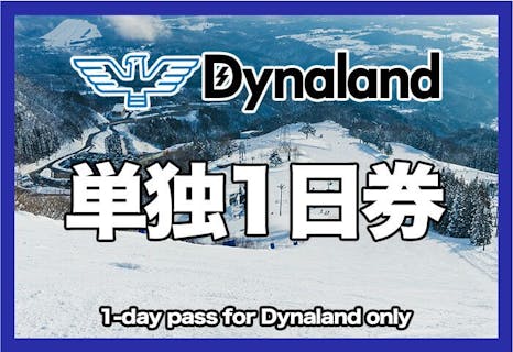 【500円割引＆3%ポイント還元中！】ダイナランド単独（エリア限定）　リフト1日券