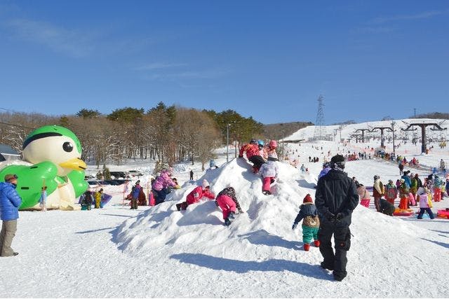 ひるがの高原スキー場 リフト 招待券 岐阜 リフト スキー スノボ 1