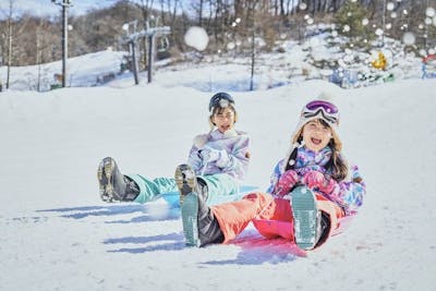 軽井沢プリンスホテルスキー場 早割リフト1日券 6枚分 - スポーツ