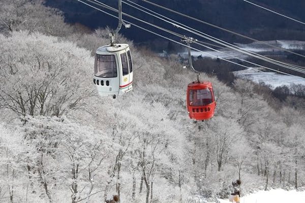 メール便不可】 ☆お食事券付♪高鷲スノーパーク ダイナランド半額券