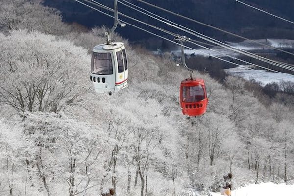 早割・1,800円割引】高鷲スノーパーク&ダイナランド 共通リフト 早割・1,800円割引】高鷲スノーパーク&ダイナランド 共通リフト