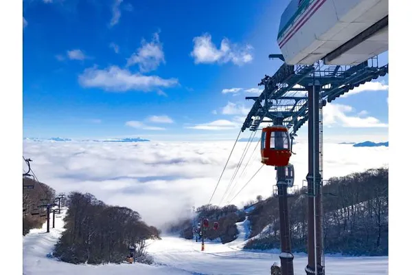300円割引】高鷲スノーパーク＆ダイナランド 共通リフト1日券＋食事券  