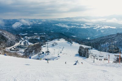 新B2 高級　豪華な雪洞のみ　高さ90㎝位 早割・1,800円割引】高鷲スノーパーク＆ダイナランド 共通リフト1日券