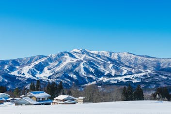 b7352436-48c0-4cc1-bbea-