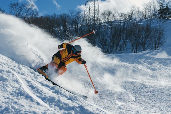 高鷲スノーパーク＆ダイナランド共通1日券 高鷲スノーパーク&ダイナランド共通 リフト券 春割 1枚 - メルカリ