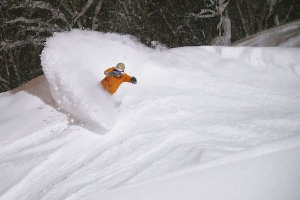 300円割引】高鷲スノーパーク＆ダイナランド 共通リフト1日券＋食事券
