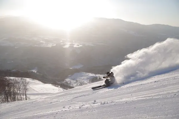 300円割引＆3%ポイント還元中！】高鷲スノーパーク＆ダイナランド 共通