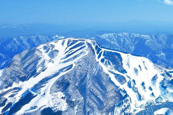 鷲ヶ岳スキー場 1日券、半額券 リフト券 居着い