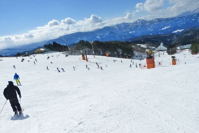 鷲ヶ岳スキー場 1日券、半額券 リフト券 居着い