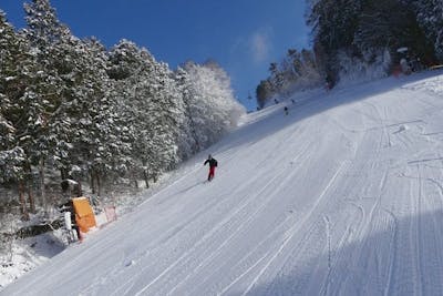 早割限定】鷲ヶ岳スキー場 単独リフト1日券+食事券（1,000円分） ※IC