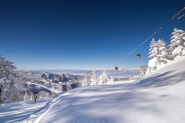 野麦峠スキー場 半額券 - その他