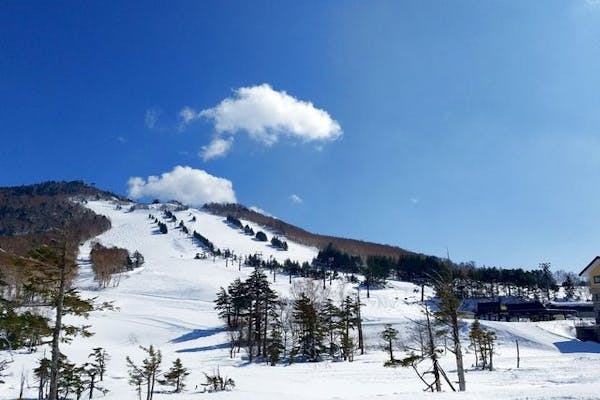 最大500円割引】志賀高原中央エリアスキー場＜サンバレー～一の瀬