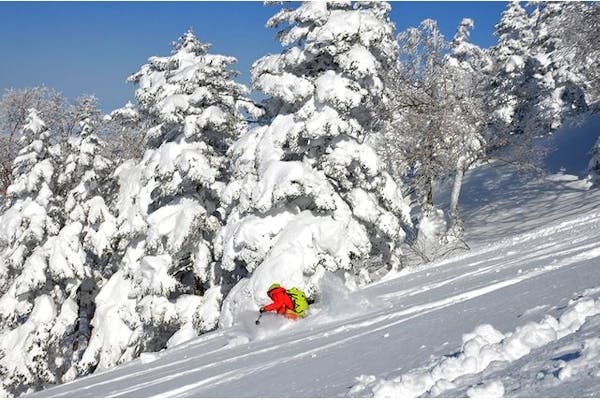 【即使用可】志賀高原スキー場　中央エリア専用の1日リフト３人分 最大500円割引】志賀高原中央エリアスキー場＜サンバレー～一の瀬