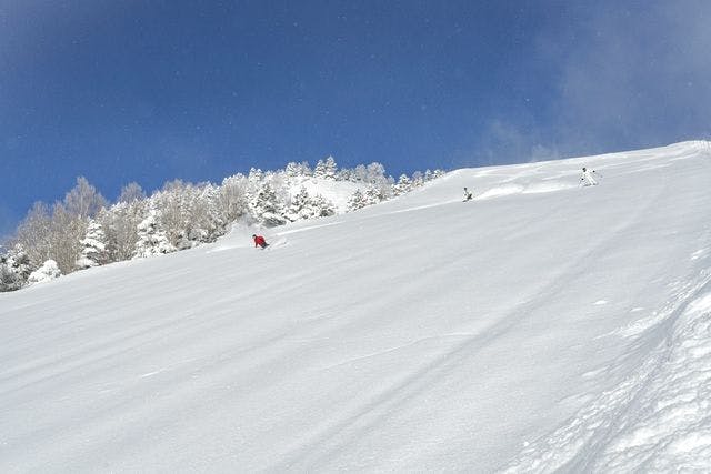 最大1,000円割引】志賀高原焼額山スキー場 リフト1日券 - 志賀