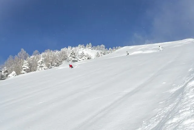 志賀高原　焼額山　エリア　1日券　やけび　リフト券 志賀高原 焼額山スキー場 焼額山エリア 早割リフト1日券＜大人