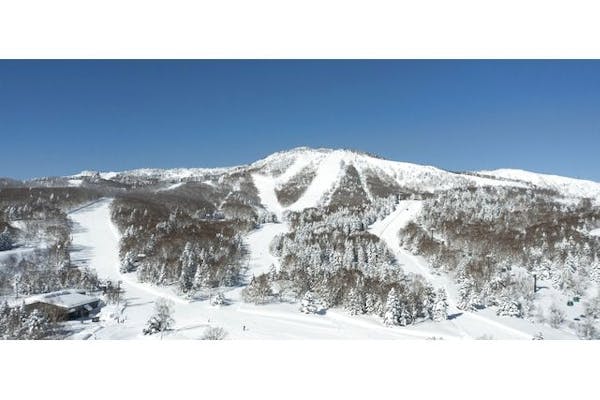 2024-2025シーズン 志賀高原 焼額山スキー場 大人リフト1日券 2