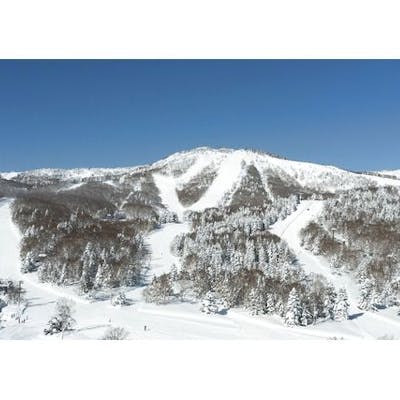 ダイレクトイン・最大700円割引】志賀高原焼額山スキー場 リフト ダイレクトイン・最大700円割引】志賀高原焼額山スキー場 リフト