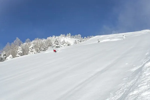 ダイレクトイン・最大700円割引】志賀高原焼額山スキー場 リフト4時間 