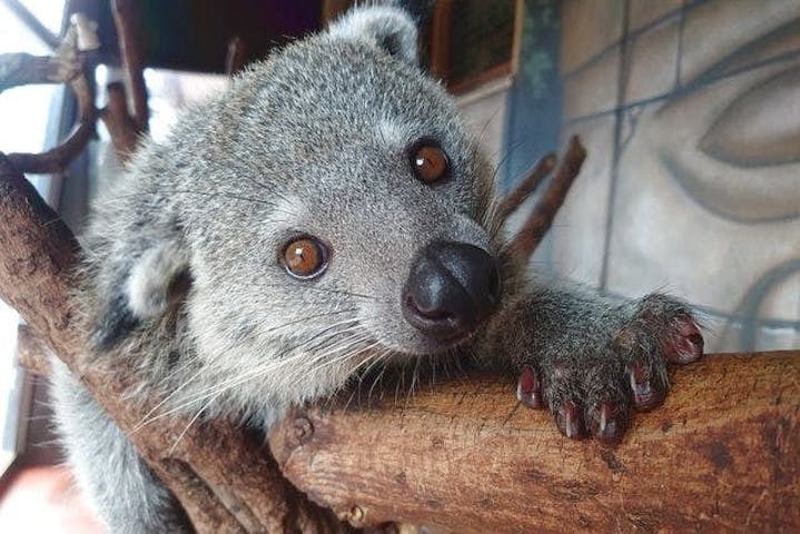 アニタッチ MARK IS 静岡