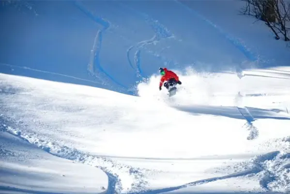 9%割引】星野リゾート ネコマ マウンテン｜割引チケット・クーポンなら