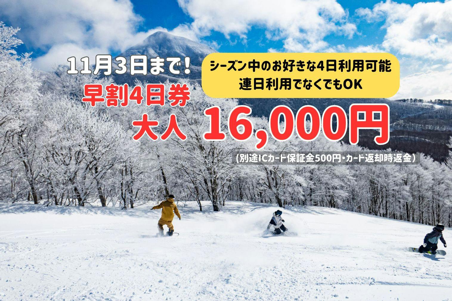 ネコママウンテン 1日券 2枚セット 星野リゾート ネコママウンテンリフト券2枚