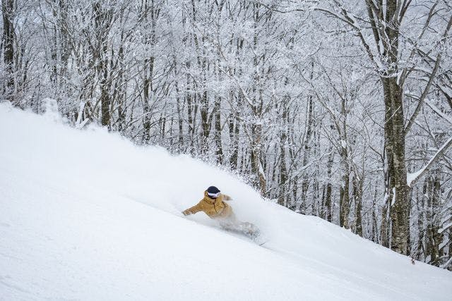 超早割（11/3まで）・チャージ】星野リゾート ネコマ マウンテン 2日券