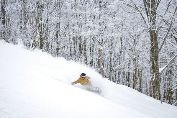 公式【最大1,200円割引・チャージ】星野リゾート ネコマ マウンテン 2