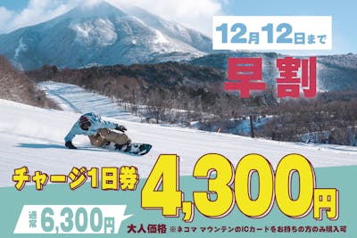 ネコママウンテン 1日券 2枚セット 早割（12/12まで）・チャージ】星野リゾート ネコマ マウンテン 1日券