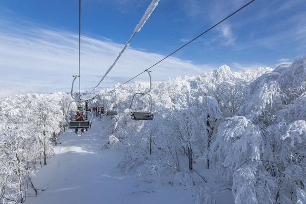 早割（12/12まで）・チャージ】星野リゾート ネコマ マウンテン 1日券