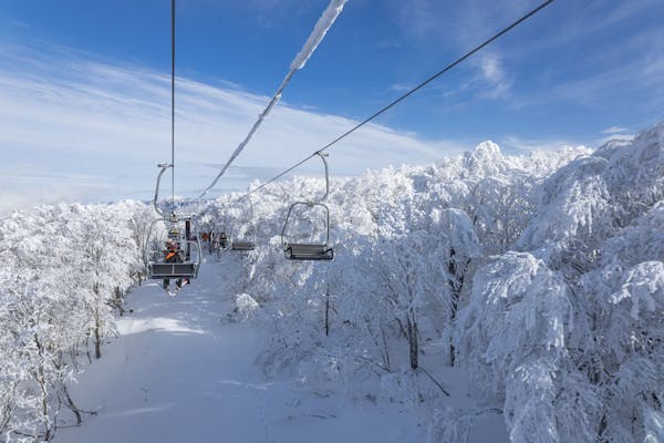 早割（12/12まで）】星野リゾート ネコマ マウンテン 2日券（ICカード