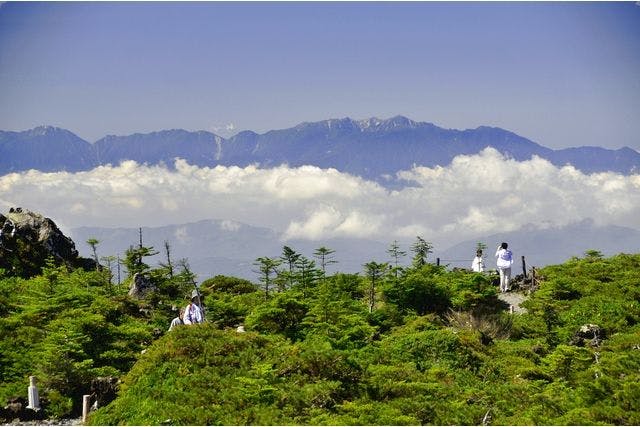 ロープウェイ】北八ヶ岳ロープウェイ お得な割引往復チケット - 北