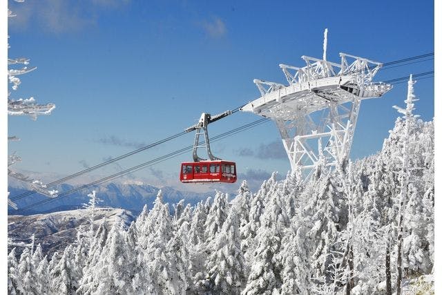 【11/18-12/13運休】北八ヶ岳ロープウェイ　往復チケット（窓口にて紙チケットと要引き換え）