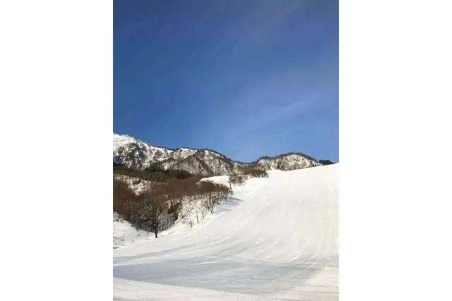 購入日の翌日から利用可・土日祝B・600円割引】氷ノ山国際スキー場