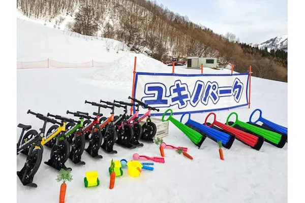 購入日の翌日から利用可・土日祝B・600円割引】氷ノ山国際スキー場