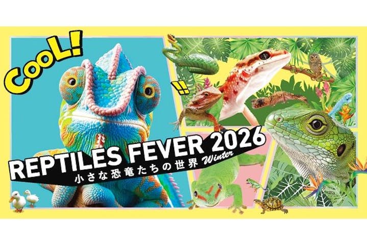 レプタイルズフィーバー 2026 Winter 